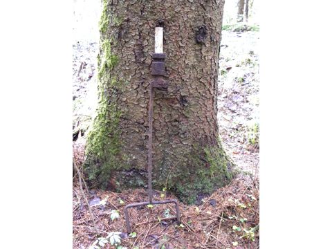 Foto 11